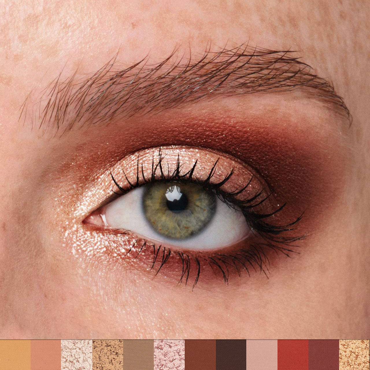 Paleta de Sombras de ojos PHOFAY 12 Colores
